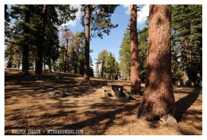 guffy camp, Angeles National Forest, San Gabriel National Monument, Wrightwood