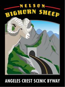 Nelson Bighorn Sheep