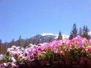 mountain hardware
