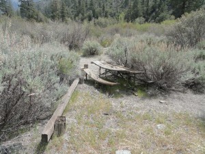 A sun-baked picnic table is taken back by encroaching Great Basin sagebrush at abandoned Cabin Flat campground.