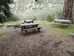 Cluster of tables and fire pit, which appear to be an actively used site at Cabin Flat campground.