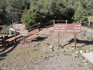 Vincent Gap Trailhead.  The approach to Big Horn mine, Mine Gulch and the greater East Fork of the San Gabriel River is past the white fire road gate to the left of the split rail fence.  