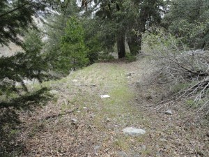 A small piece of the old jeep track in Prairie Fork that once went downstream to the East Fork of the San Gabriel River from Cabin Flat campground.  
