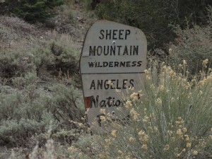 A weathered Forest Service boundary sign denotes the edge of the Sheep Mountain Wilderness in the Prairie Fork up canyon from Lupine Campground.  Both Lupine and Cabin Flat Campgrounds are just outside the boundary.  