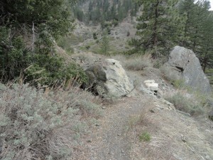 The Fish Fork Trail near its' trailhead at Lupine Campground.  This section of trail was originally a narrow road that one could drive on to West Pine Mountain Ridge.  I drove this road back in the early 1980's.  Today it is all single track, non-motorized trail.    
