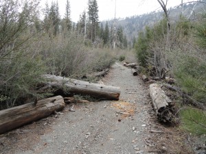 The old Prairie Fork Road as seen just upstream from Cabin Flat Campground.