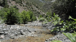 Looking downstream, near the confluence of Mine Gulch and the main canyon of the East Fork of the San Gabriel River.