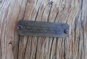 A weathered brass tag honors the memory of a loved one.   It was placed some years ago up on a limber pine, high atop Mt. Baden-Powell.